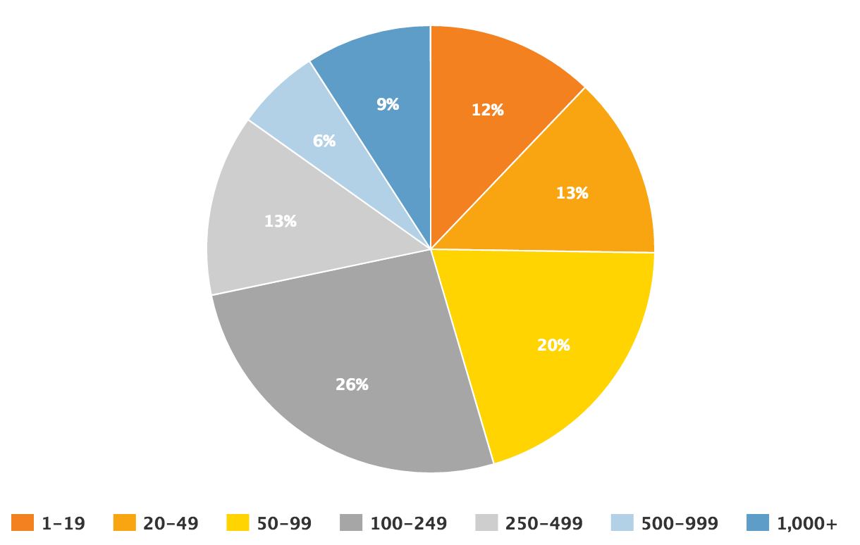 Company Sizes Chart